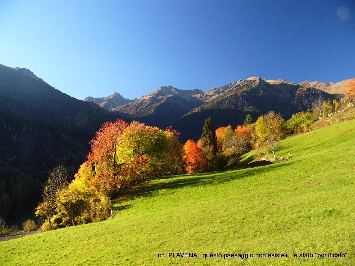 Alpen Garten Hotel Margherita Rumo Exterior photo